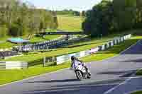 Evening Adv_Mid Group White Bikes